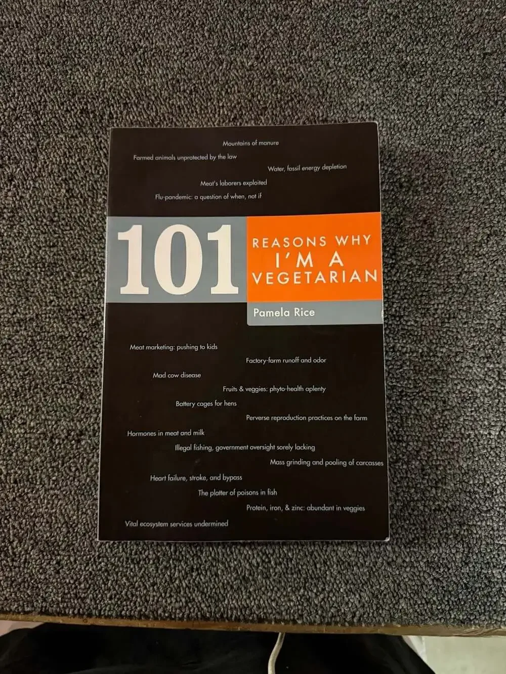 101 Reasons Why I'm a Vegetarian by Pamela Rice